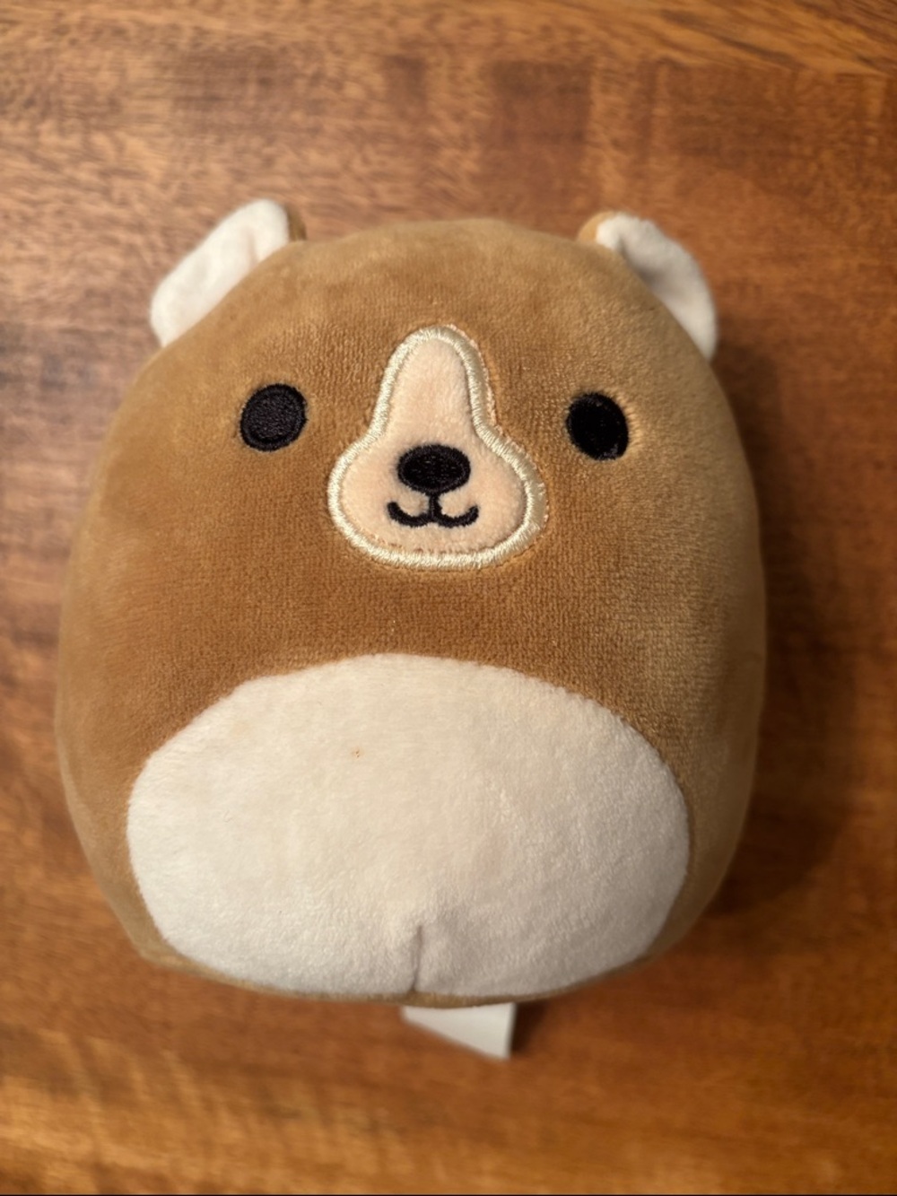 Squishmallows Brown and White Bear Plush